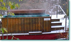 Eight to ten person spa hot tub rental from Hot Tubs on Wheels